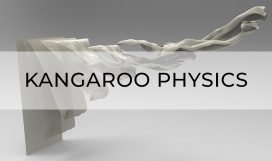 kangoroo cover image_3